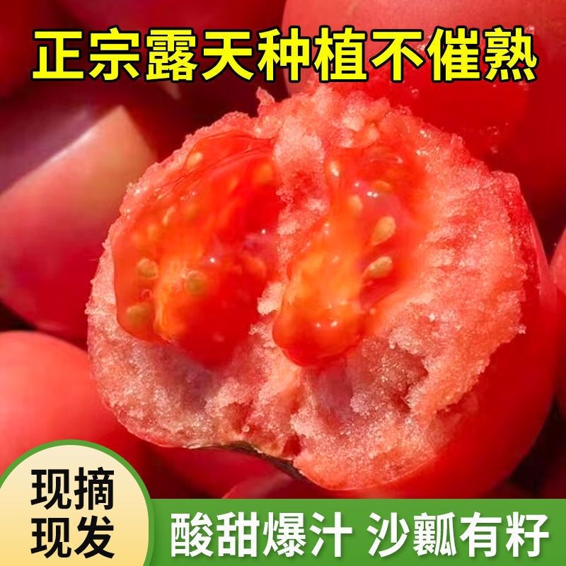 山东生吃西红柿新鲜沙瓤大番茄自然熟水果粉柿子种植酸甜多汁净重
