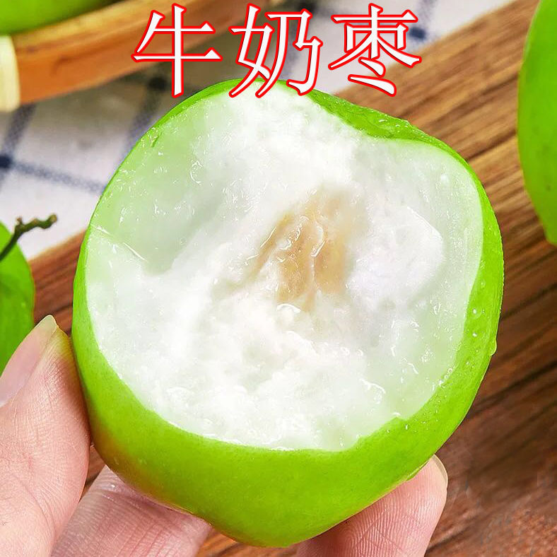 牛奶枣大青枣新鲜水果当季应季5/3/1斤甜脆蜜枣贵妃枣冬枣生态