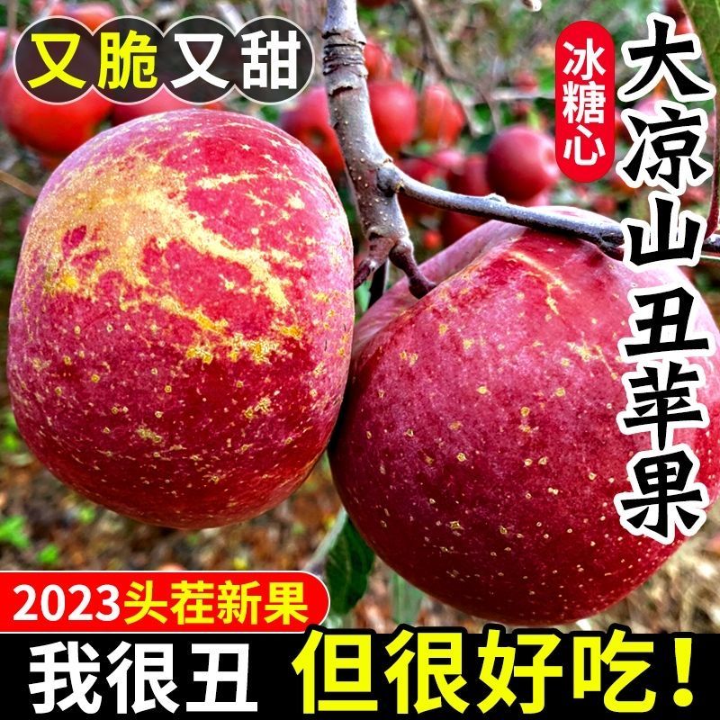 正宗四川大凉山丑苹果冰糖心苹果新鲜水果当季盐源红富士营养农家