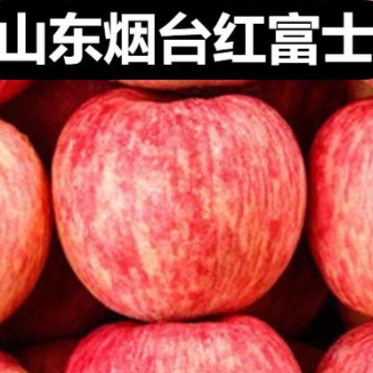 正宗山东红富士苹果新鲜水果烟台红富士苹果冰糖心清脆饱满脆甜