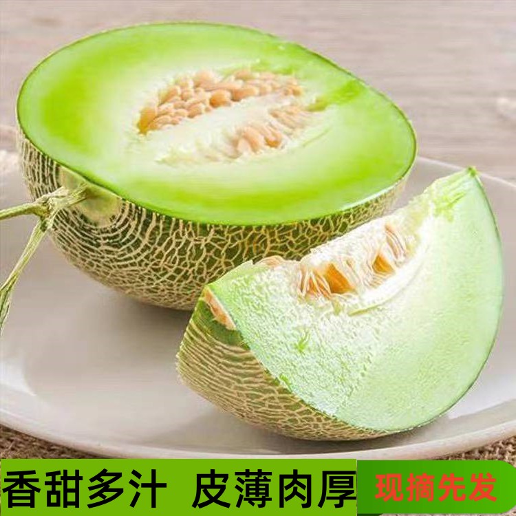 正宗山东玫珑网纹瓜冰淇淋香甜多汁蜜瓜新鲜水果产地直发果香四溢
