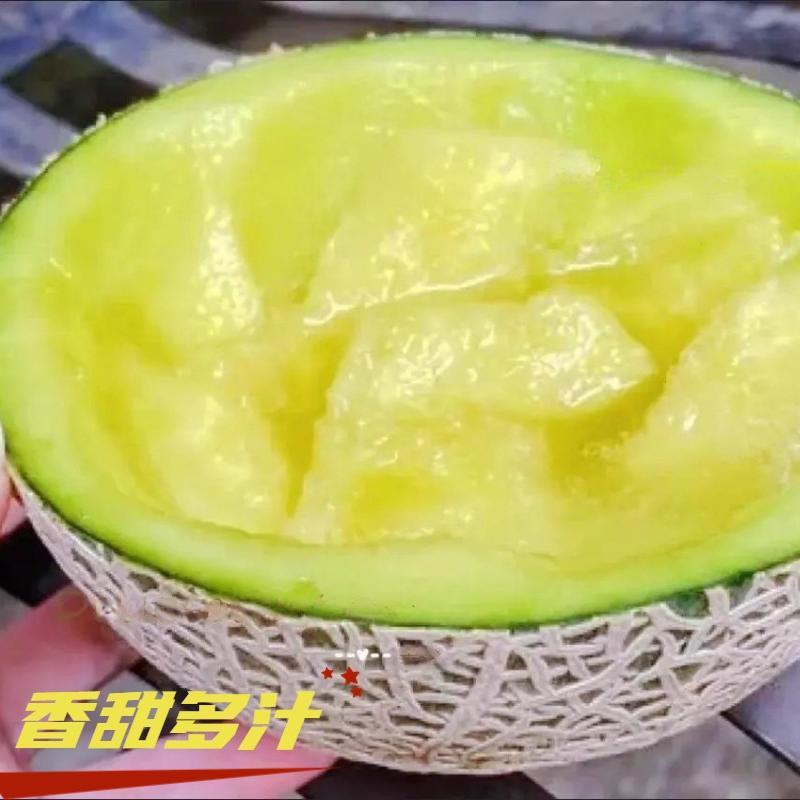 新鲜时令玫珑蜜瓜正宗冰淇淋甜瓜哈密瓜当季新鲜水果网纹密瓜清甜