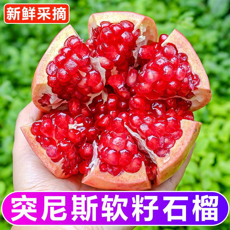 现摘现发突尼斯软籽石榴净重香甜饱满采摘鲜红清甜产地皮薄新鲜