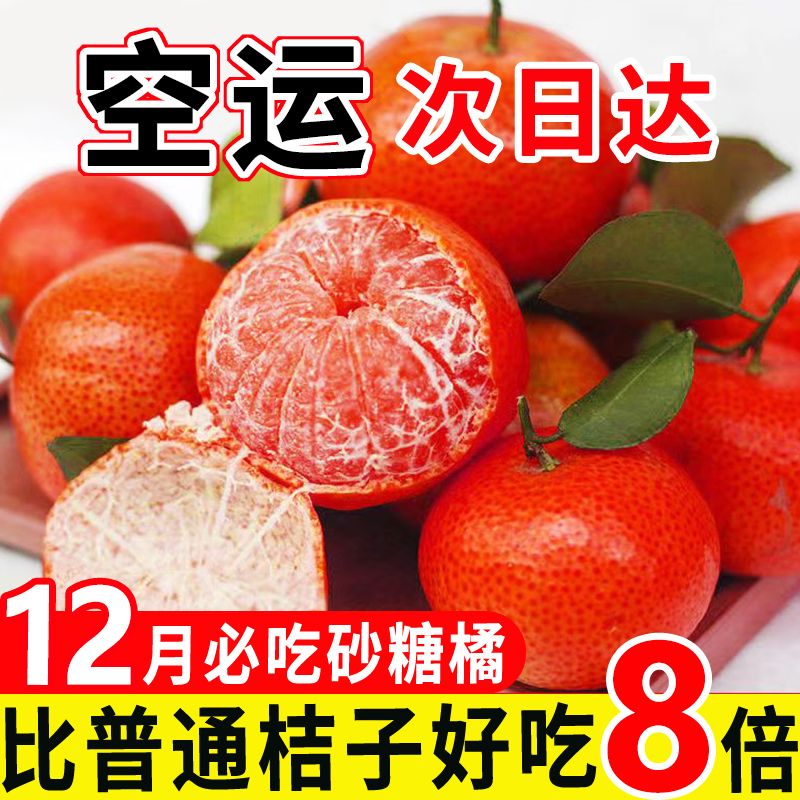 新鲜成熟皮薄发货正宗广西沙糖桔水果薄皮桔子应季水果砂糖橘大果