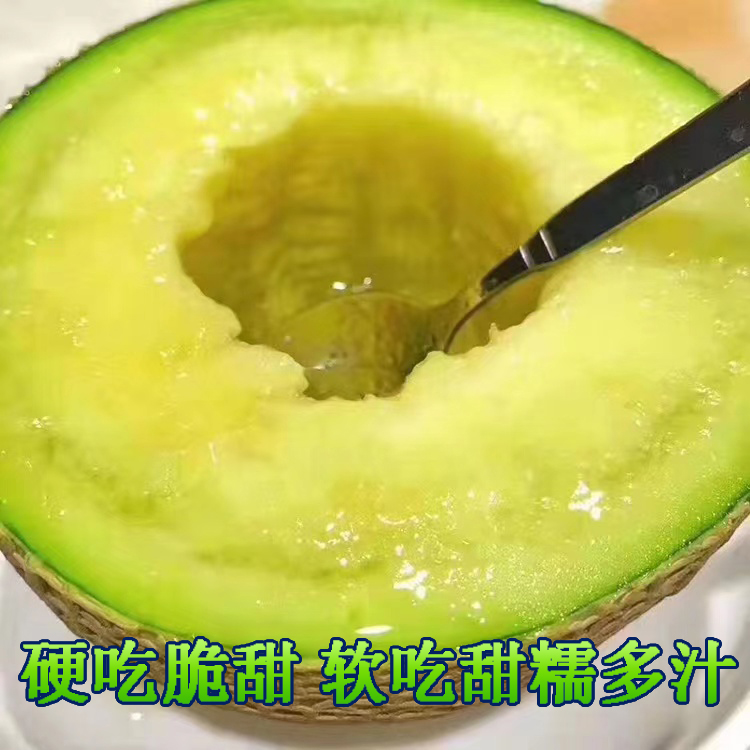 正宗玫珑瓜网纹蜜瓜冰激凌口感哈密瓜新鲜孕妇水果甜蜜多汁