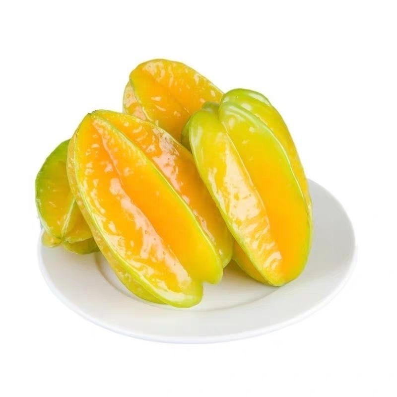 福建漳州杨桃下火水果现摘现发当季杨桃新鲜杨桃大果现摘现发好吃