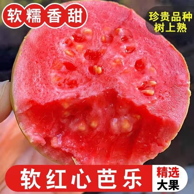 红心芭乐软糯香甜冰淇淋口感当季巴乐鸡屎果爽口脆甜番石榴精选甜