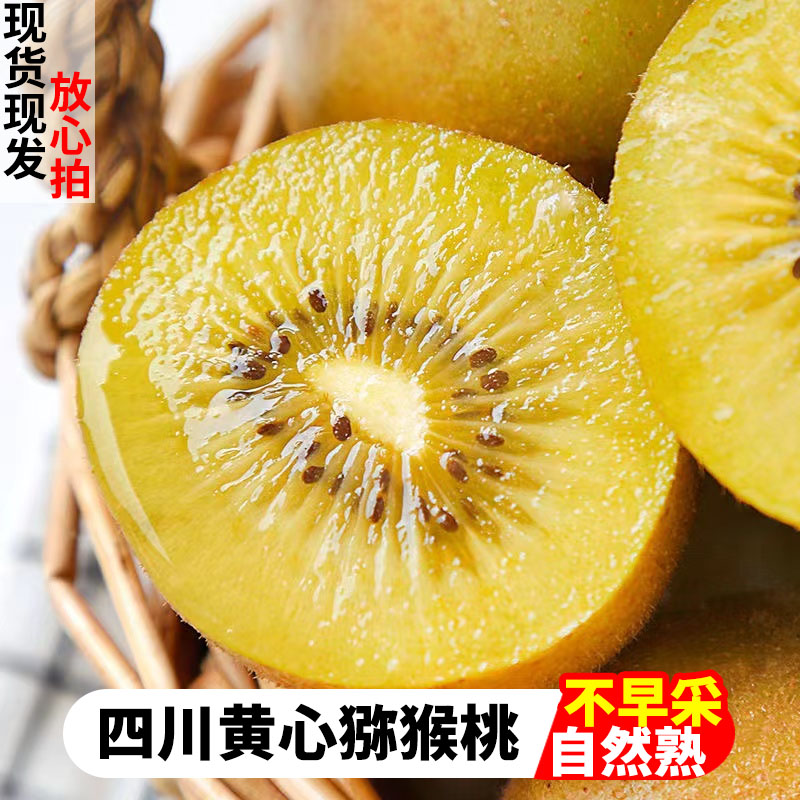 【现采现发】正宗四川蒲江黄金奇异果当季黄心猕猴桃新鲜应季水果