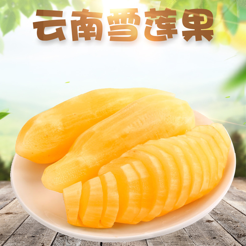 【应季款】云南天山雪莲果当季新鲜孕妇水果现挖清甜
