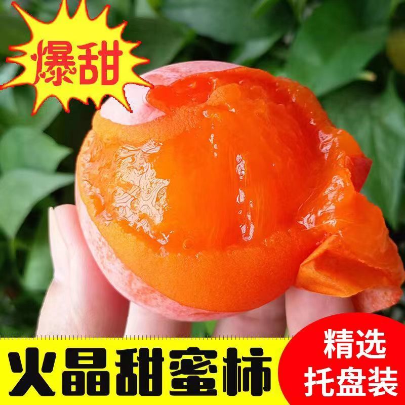 陕西临潼火晶柿子现摘新鲜应季水果红柿子软甜柿子小柿子成熟优品