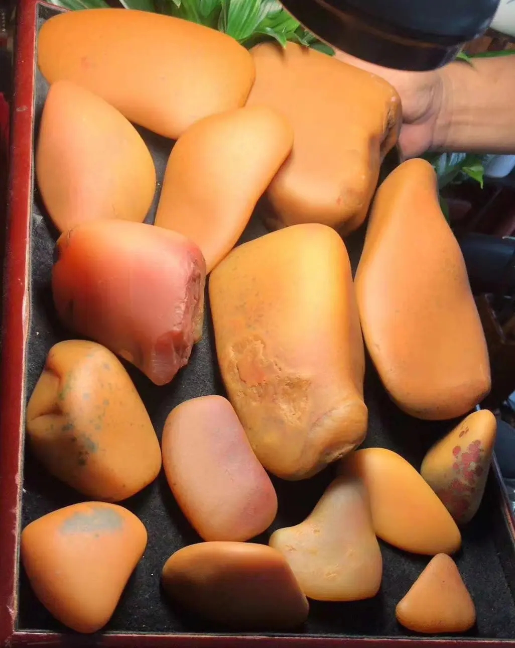 黄蜡石画面象形，鱼缸造景，乌龟晒台