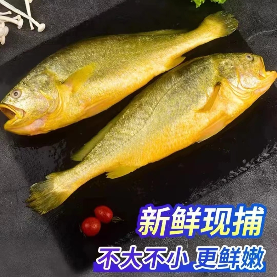 （大妮）黄花鱼 码头直发 8-9两/条 3条+2条 到手5条