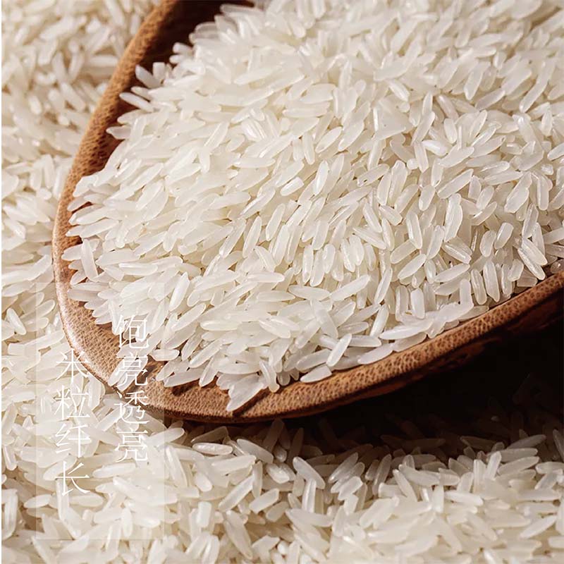 【汇谷稼】【央选】2025年新米新粮永修香米软糯新大米香甜好煮饭10斤