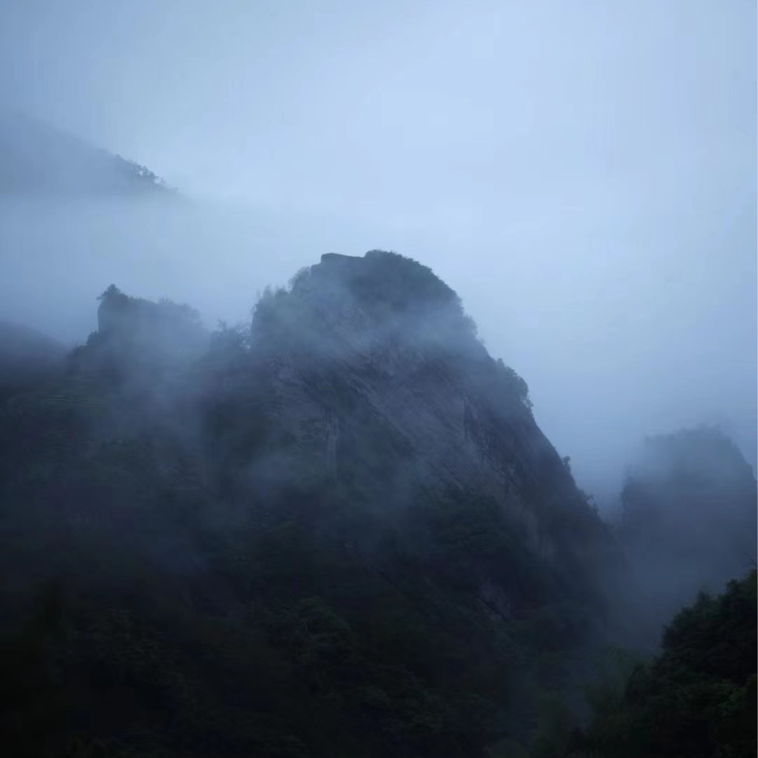 直播间问答福利品(大红袍)【仅和光同塵可拍！】