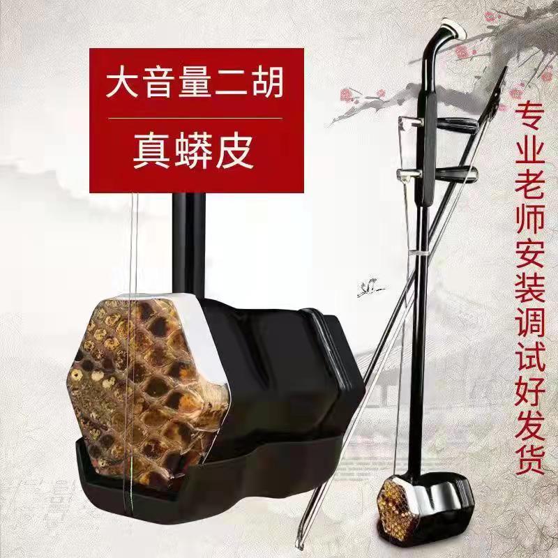 大音量二胡初学者入门娱乐二胡表演厂家直销