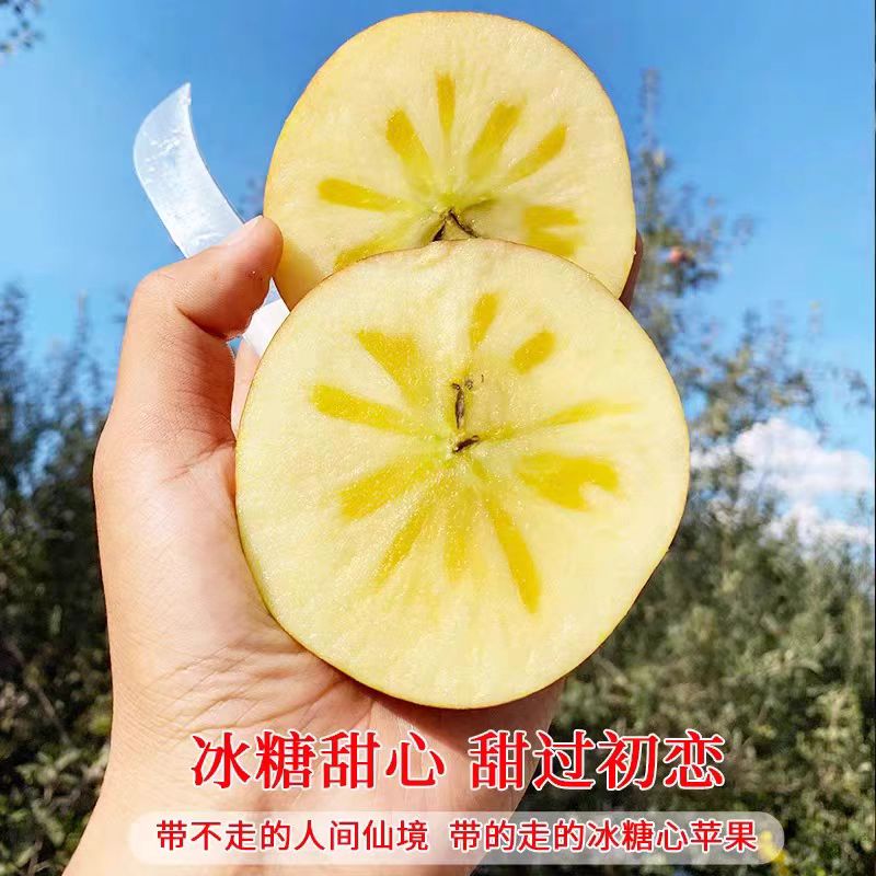 2024年当季水果正宗烟台红富士苹果冰糖心个大皮薄整箱批发