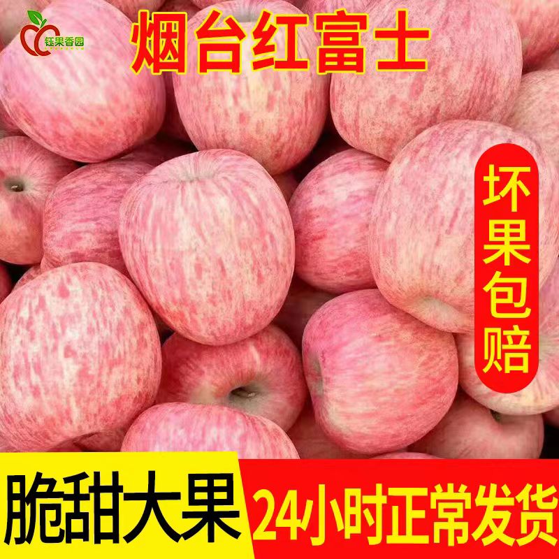 2024年当季水果正宗烟台红富士苹果冰糖心个大皮薄整箱批发