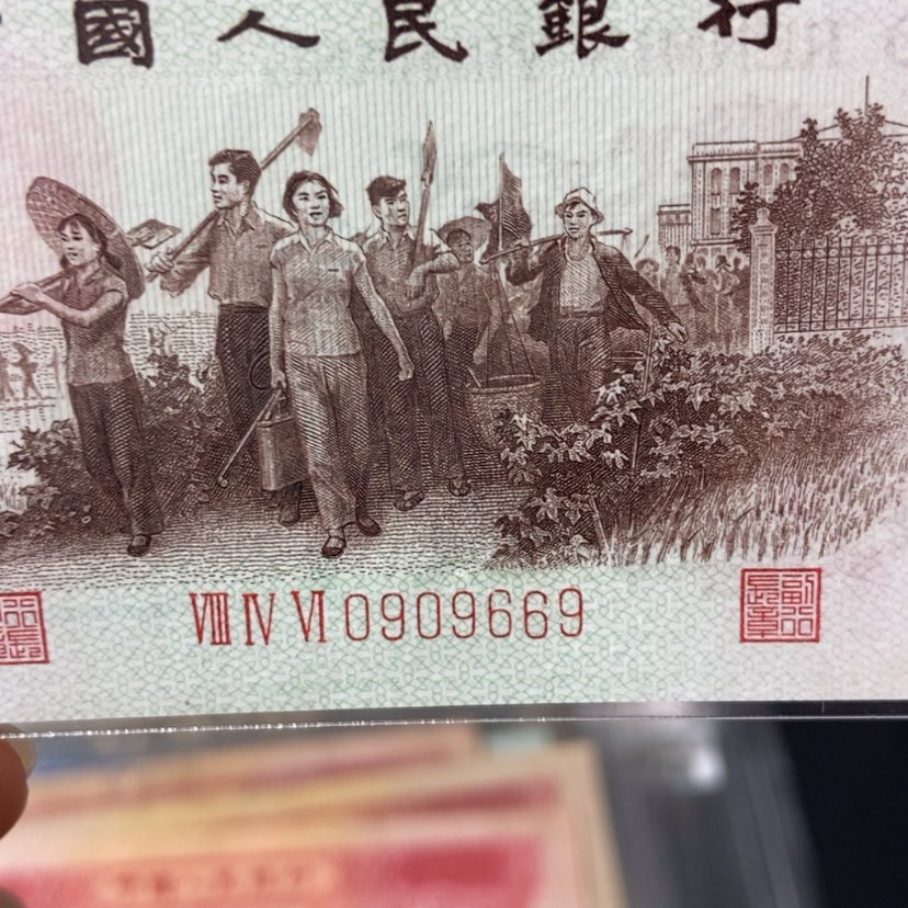 【闪购商品】背绿圆圆倒置