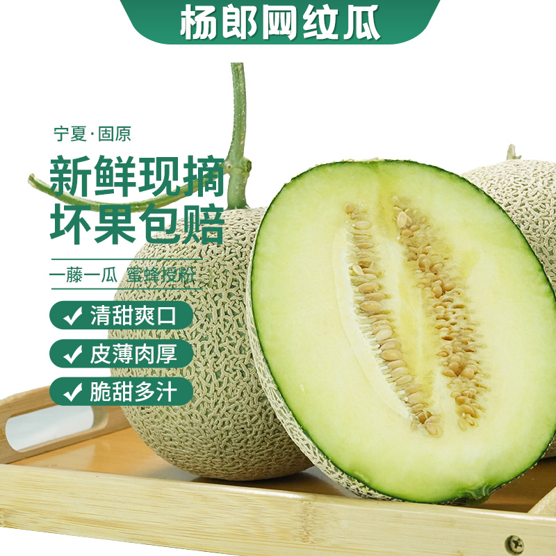（秒杀）当季杨郎情网纹蜜瓜牛三蜜瓜鲜果香甜原产地直发12-16斤