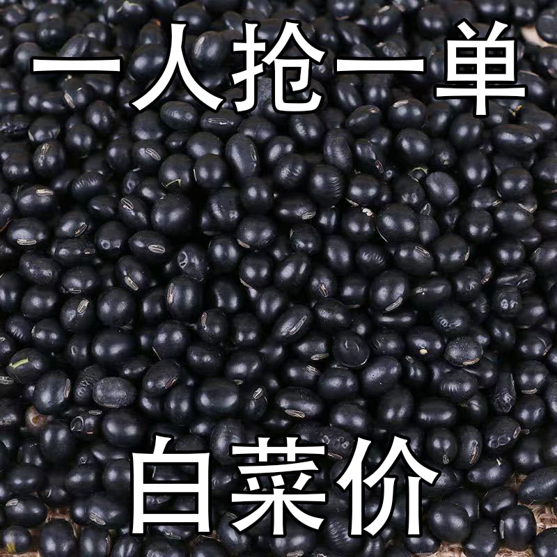 【5斤特价】黑豆打豆浆专用黄心黑豆打豆浆醋泡生豆芽农家散装50g