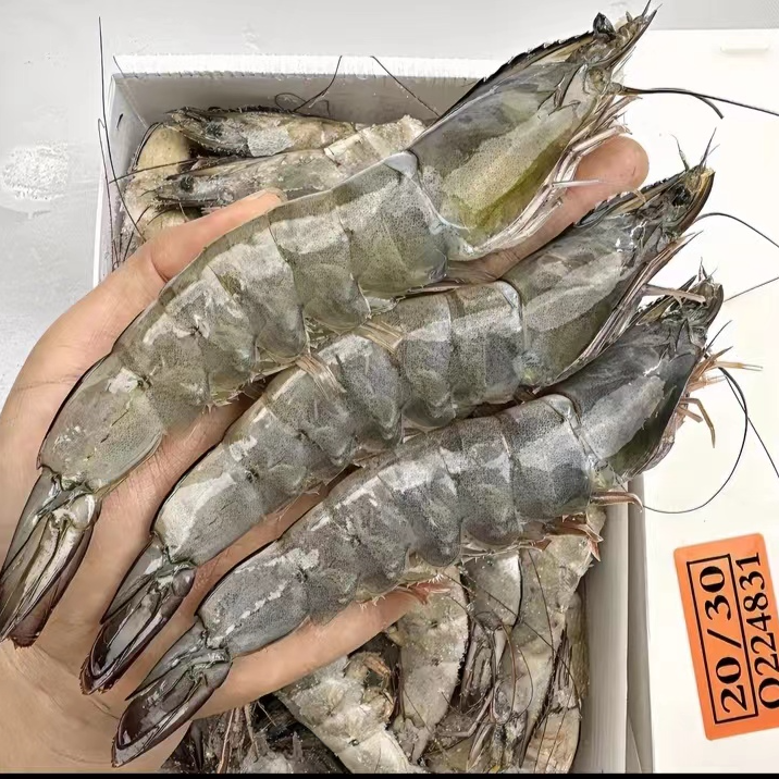 【小磊专属】海洋海水大虾2030规格 活虾新鲜活冻