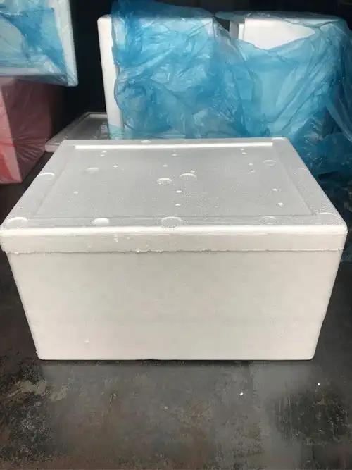 零下五度地区必拍多肉植物保温箱