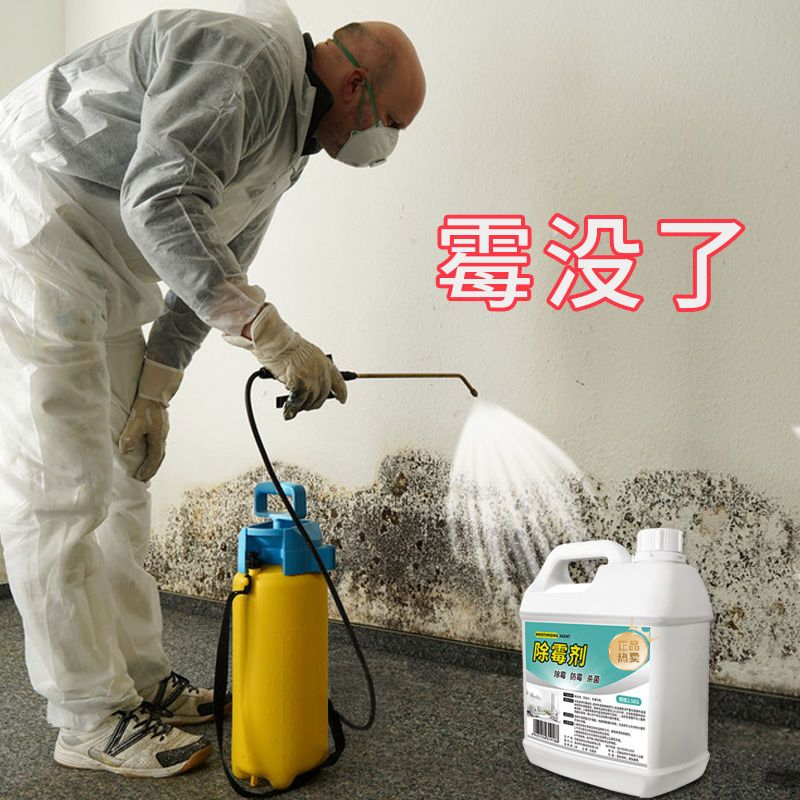 回南天墙面除霉剂家用去霉点霉斑屋顶白墙天花板发霉防霉除霉菌剂