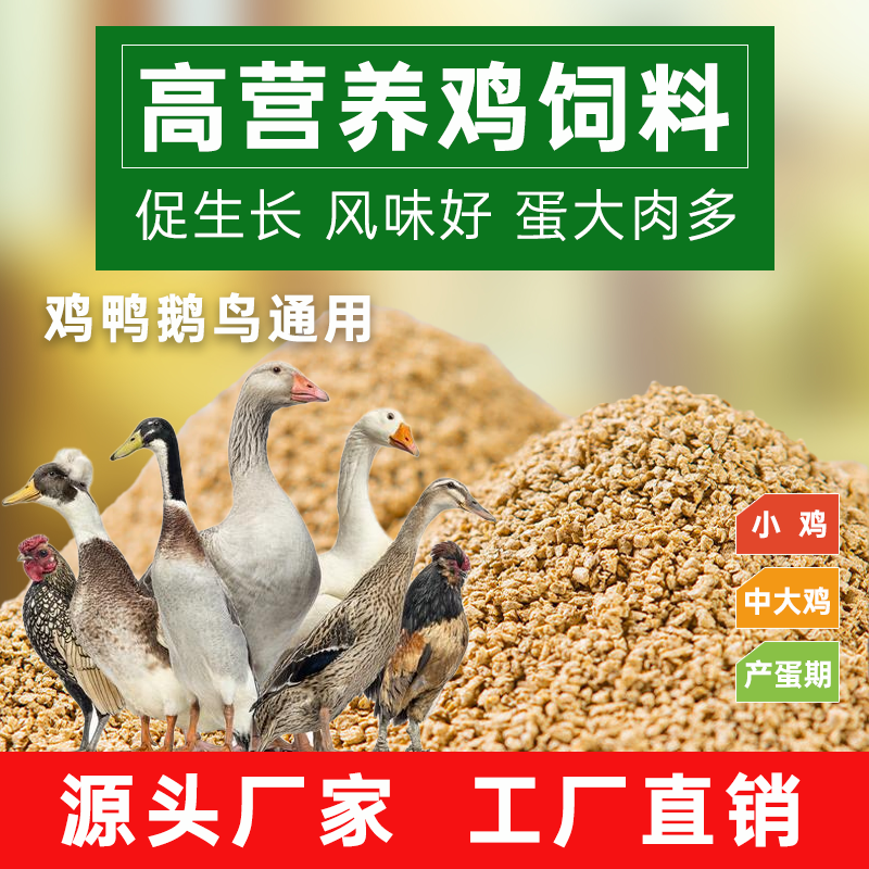 小鸡饲料中大肉蛋鸡颗粒饲料鸭鹅鹌鹑鸽鸟鱼饵料打窝配合开口料