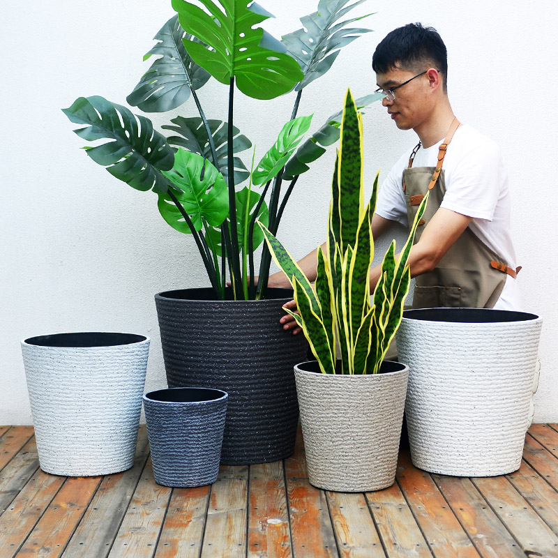 客厅向日葵北欧风简约天堂鸟花盆塑料花盆萝藦盆栽雪柳山茶花