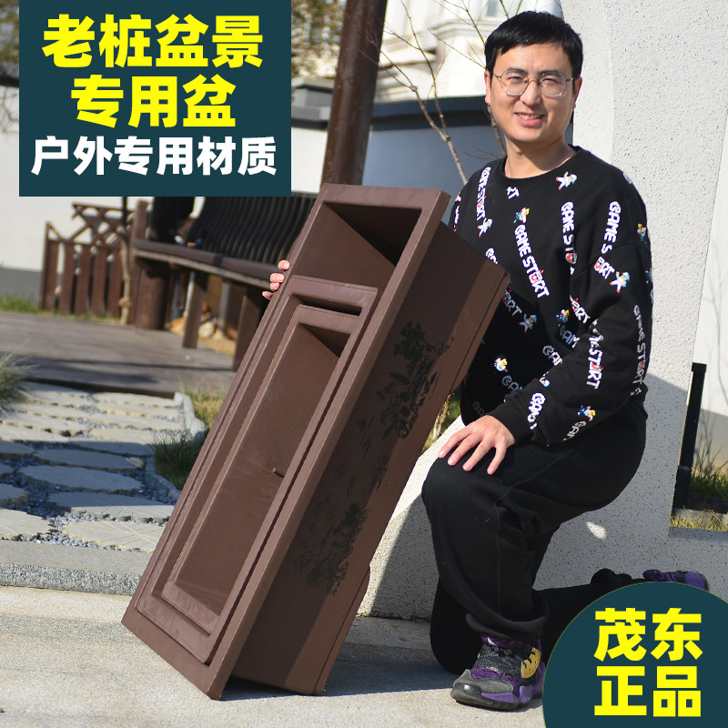 清仓长方形盆景盆金弹子大号低价长方形盆景花盆捡漏老桩塑料种植