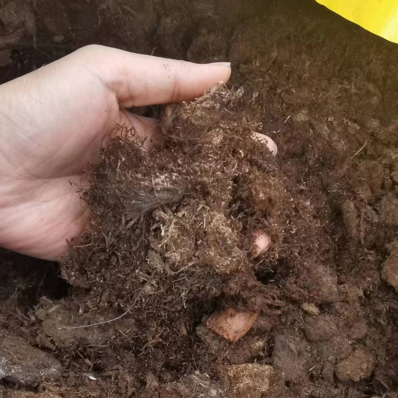 泥炭土大颗粒疏松透气适合垂丝茉莉宝莲灯花