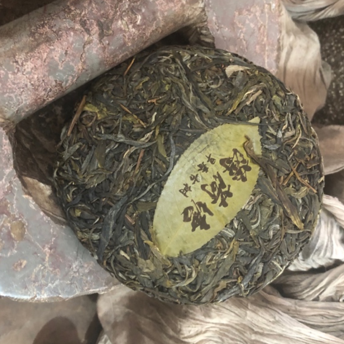2023薄荷塘乔木早春普洱生茶200 g