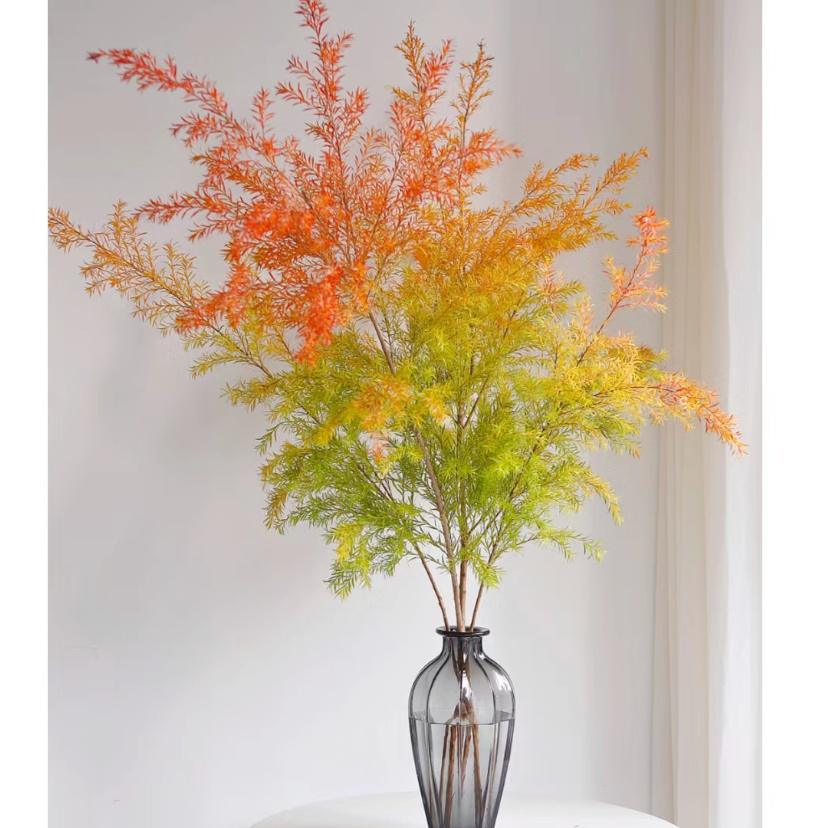 【千层金】家用鲜花/花束   云南鲜花基地直发