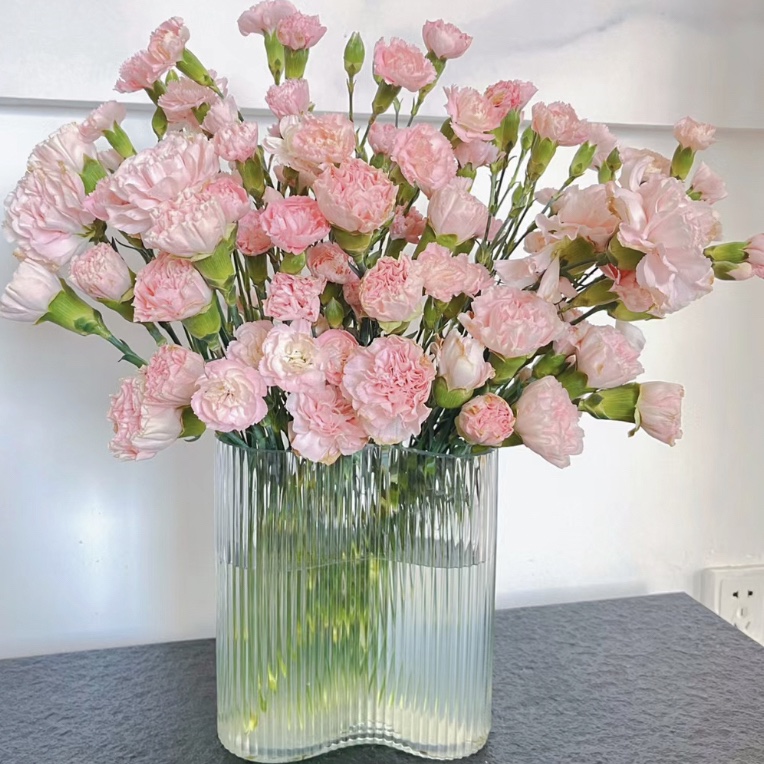 【樱花粉  多头康乃馨】不包邮一个运费任意拍