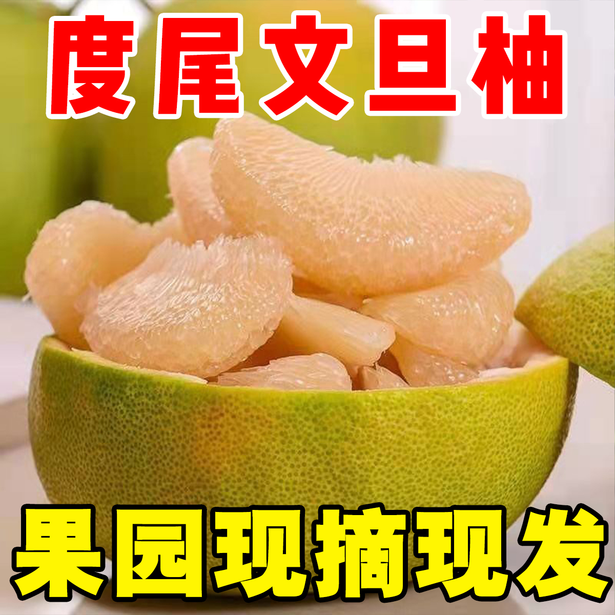 【精品底部无孔果】正宗福建仙游度尾文旦柚子果园新鲜水果3