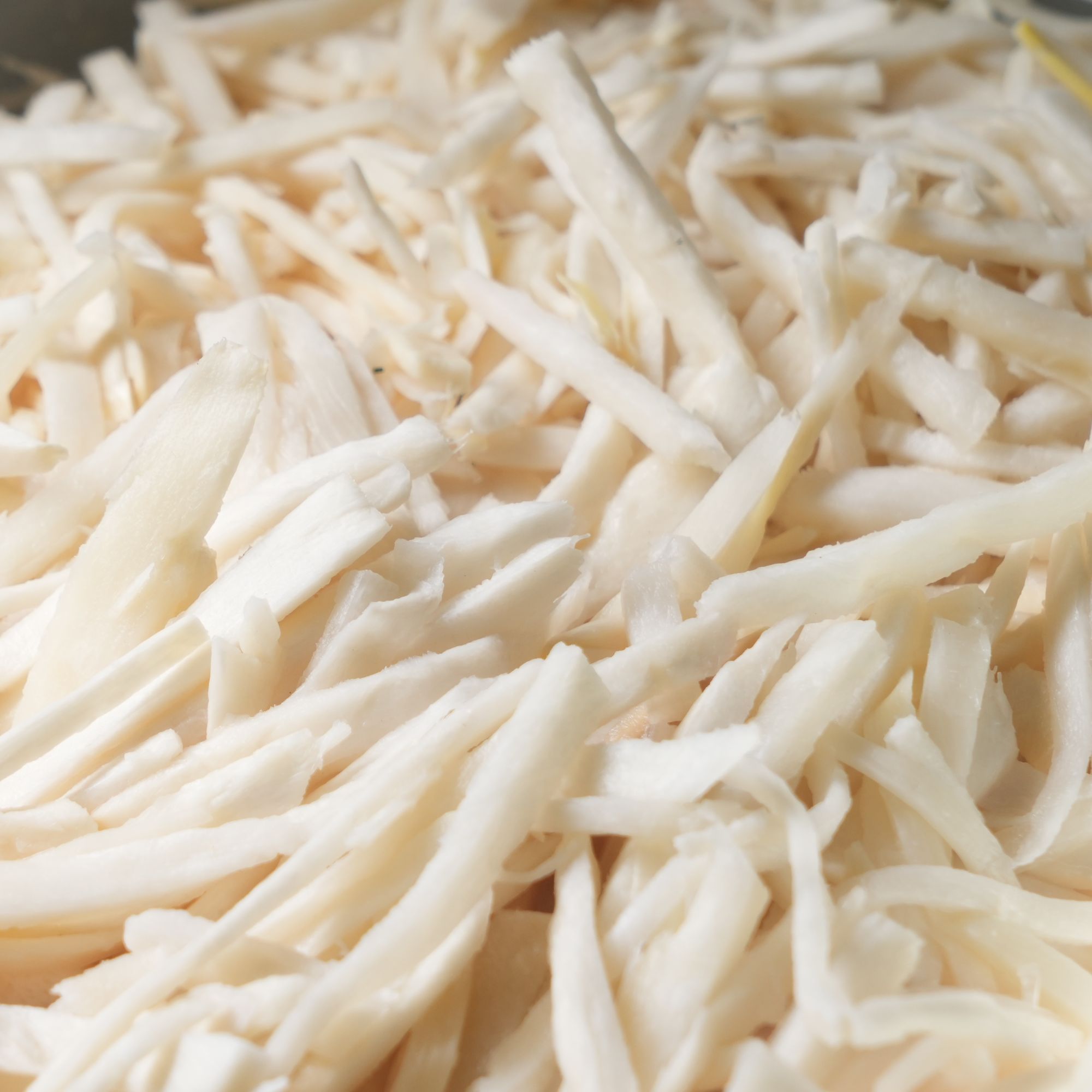 云南普洱澜沧竹塘田坝特产/白酸笋