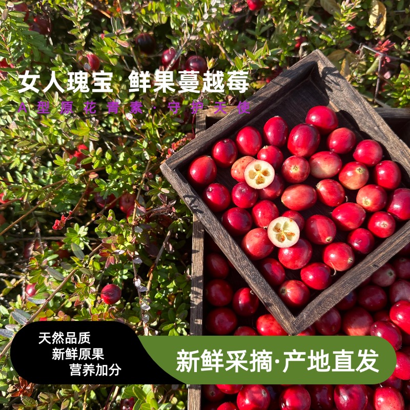 蔓越莓鲜果天然原果女性脆酸北美黑龙江榨汁果酱酵素产地直发1斤