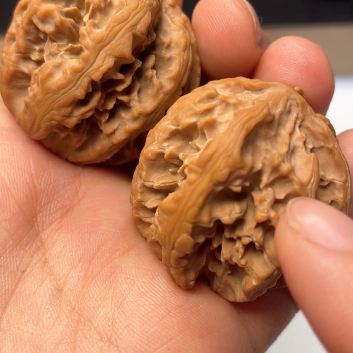 【闪购商品】秦岭的核桃