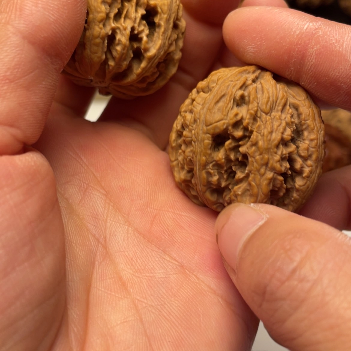 【闪购商品】秦玲的核桃核雕