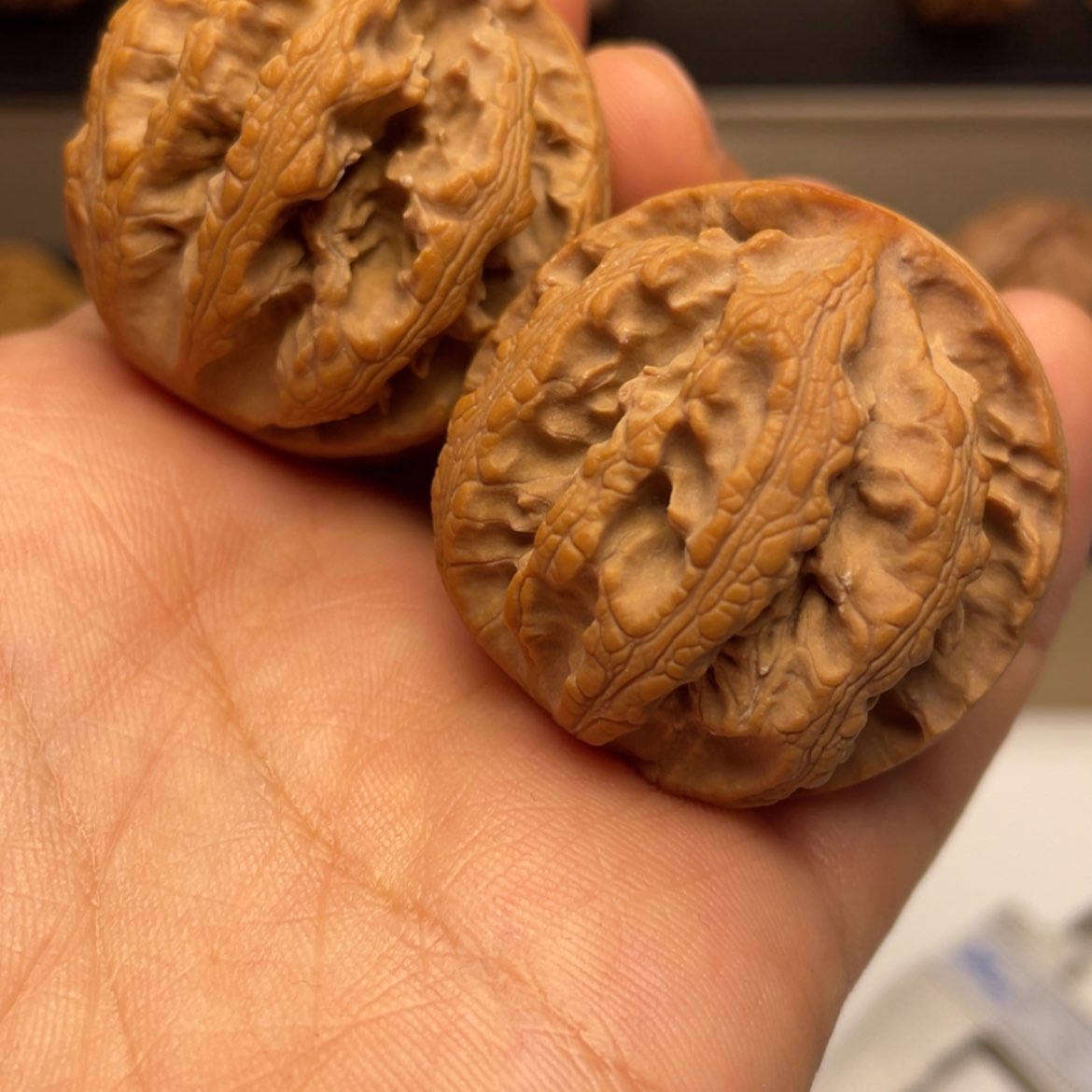【闪购商品】秦岭的核桃
