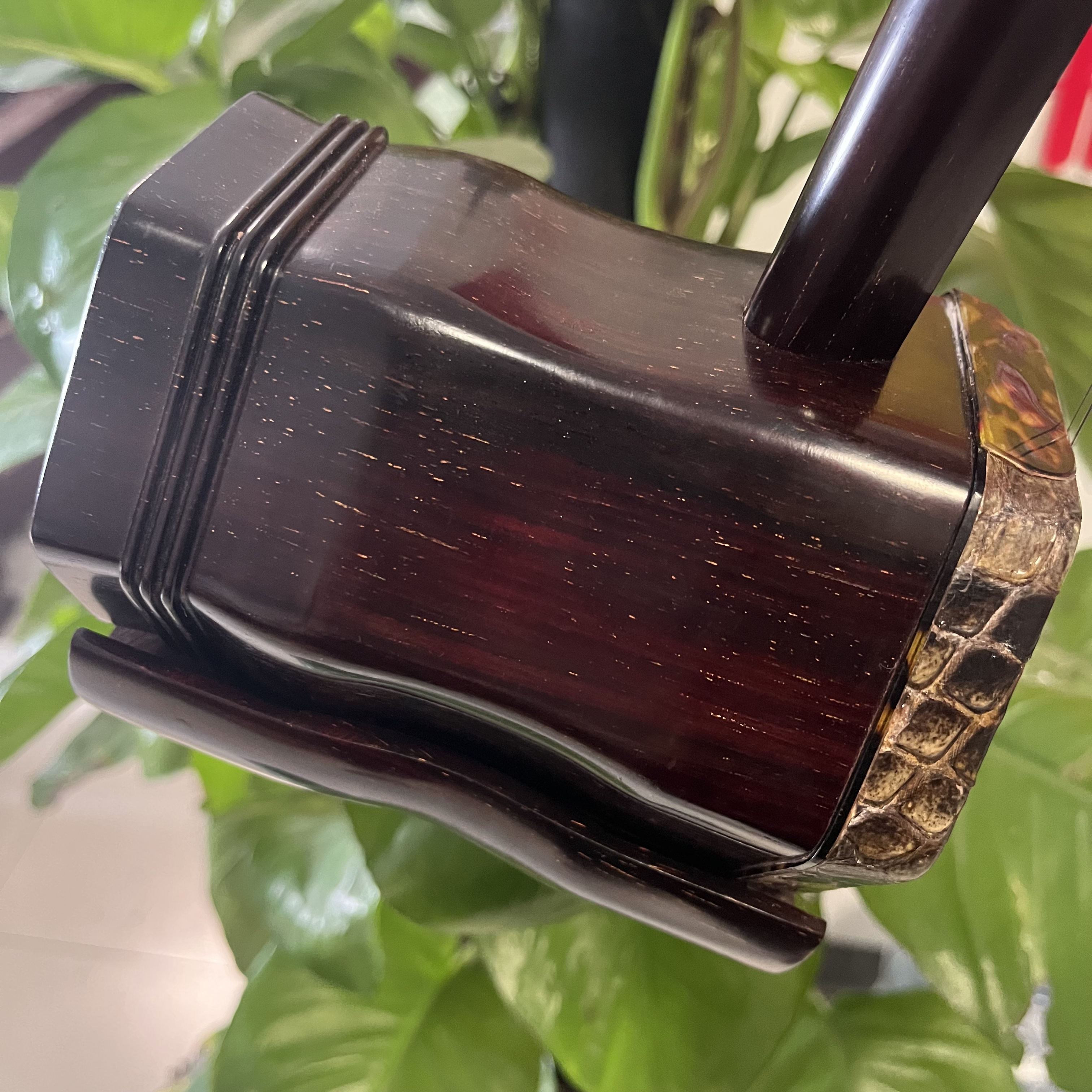 爆满金星大叶紫檀演奏琴