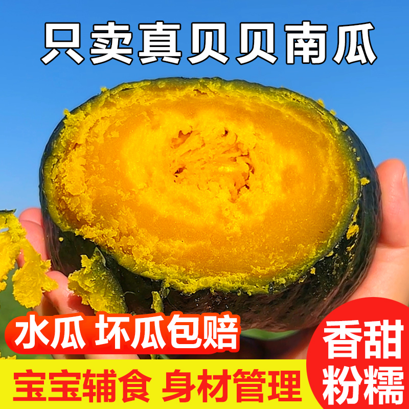 沙漠贝贝小南瓜4.5-5斤装板栗味老瓜婴儿辅食粉糯香甜粗粮农场