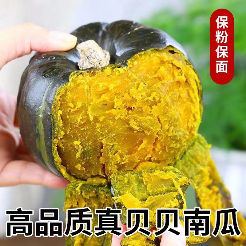 正宗贝贝健康农家板栗老小南瓜5斤地头价坏包赔粉糯香甜宝宝辅食a