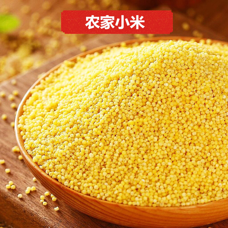农家石碾子新米颗粒饱满粘稠优质营养小米梯田新鲜小米5斤装