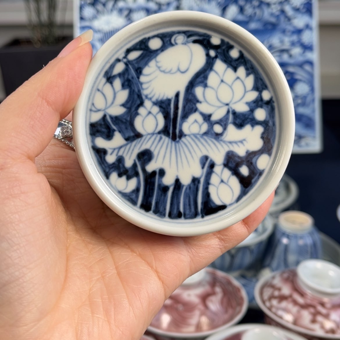 【闪购商品】陶瓷陶瓷