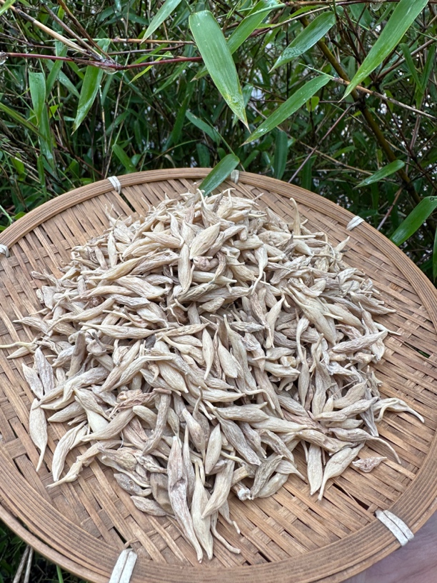 农户野外采挖老麦冬250g-500g