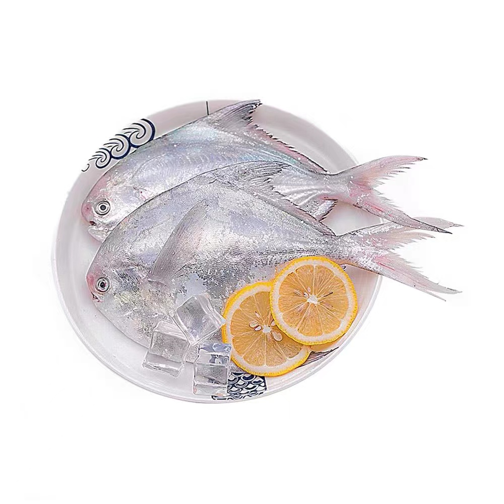 4斤鲳鱼【东海野生鲳鱼4斤】深海海捕银鲳鱼鲜活水产