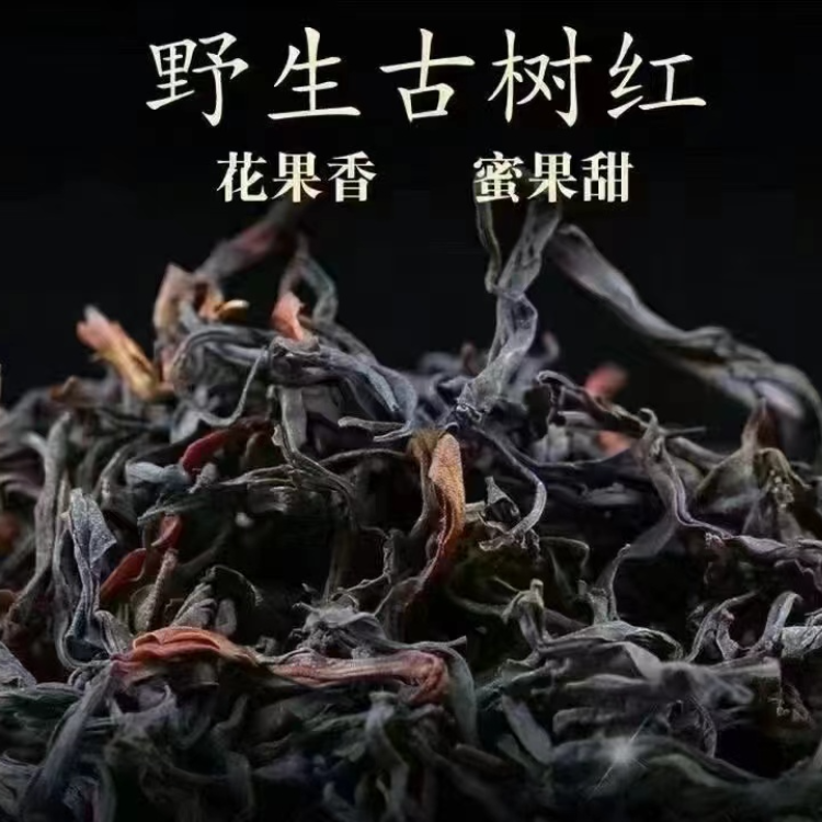 2025深山古树野生红茶（大单株）