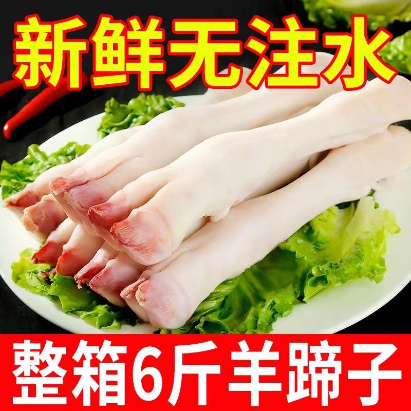 新鲜现杀羊蹄子冷冻生羊蹄带筋小羊蹄羊脚散养羊爪羊肉可整箱批发