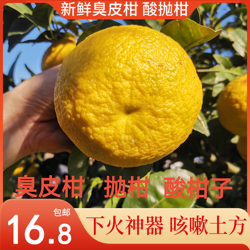 湖南臭皮柑新鲜酸泡柑湖北酸抛柑黄皮水果混装酸柑子孕妇水果5斤